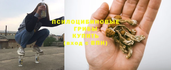 ГАЛЛЮЦИНОГЕННЫЕ ГРИБЫ Пересвет