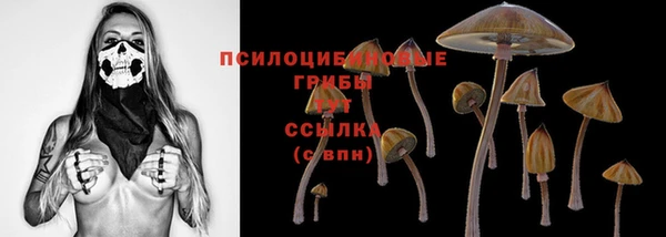ГАЛЛЮЦИНОГЕННЫЕ ГРИБЫ Пересвет