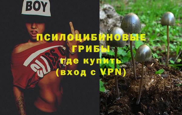 mdpv Пестово