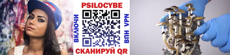 Псилоцибиновые грибы Cubensis Монино