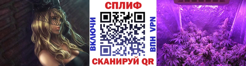 Канабис Amnesia  МЕГА ссылки  Монино 